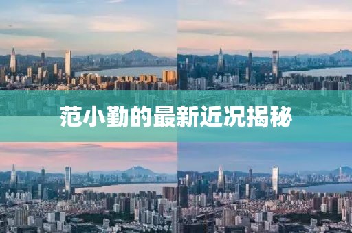 范小勤的最新近况揭秘