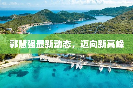 郭慧强最新动态，迈向新高峰