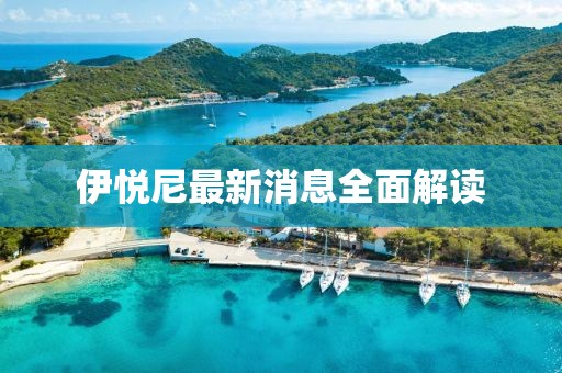 伊悦尼最新消息全面解读