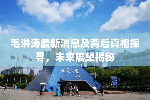 毛洪涛最新消息及背后真相探寻，未来展望揭秘