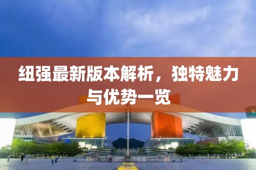 纽强最新版本解析，独特魅力与优势一览