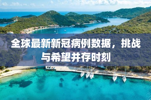全球最新新冠病例数据，挑战与希望并存时刻