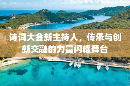 诗词大会新主持人，传承与创新交融的力量闪耀舞台