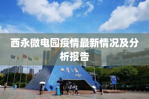 西永微电园疫情最新情况及分析报告