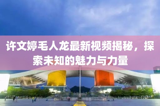 许文婷毛人龙最新视频揭秘，探索未知的魅力与力量