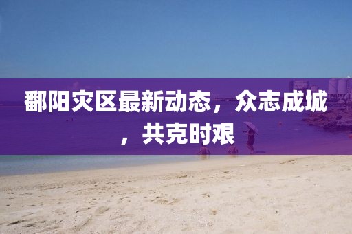 鄱阳灾区最新动态，众志成城，共克时艰