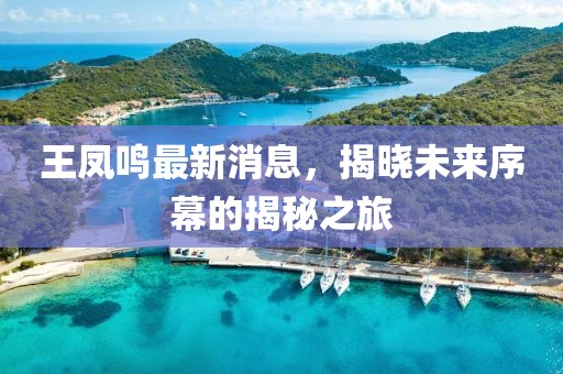 王凤鸣最新消息，揭晓未来序幕的揭秘之旅