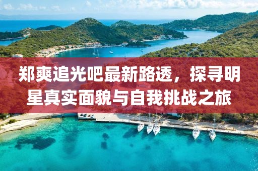 郑爽追光吧最新路透，探寻明星真实面貌与自我挑战之旅