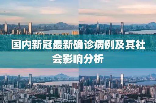 国内新冠最新确诊病例及其社会影响分析