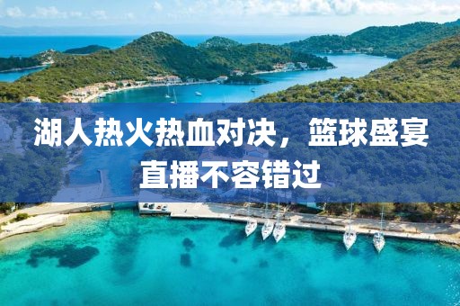 湖人热火热血对决，篮球盛宴直播不容错过