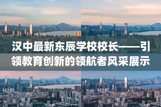 汉中最新东辰学校校长——引领教育创新的领航者风采展示