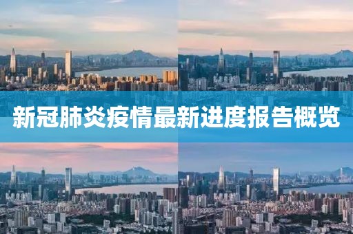 新冠肺炎疫情最新进度报告概览