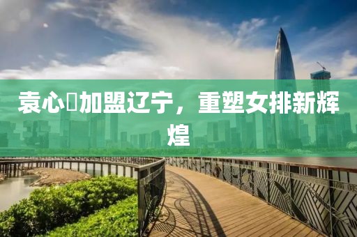 袁心玥加盟辽宁，重塑女排新辉煌