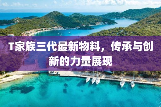 T家族三代最新物料，传承与创新的力量展现