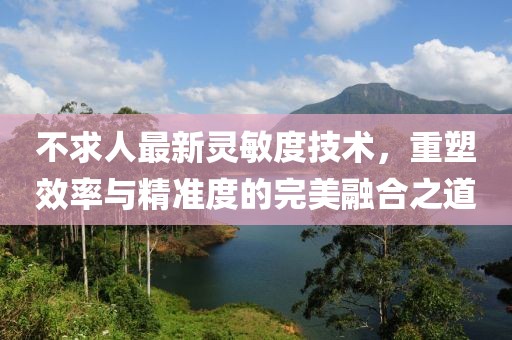 不求人最新灵敏度技术，重塑效率与精准度的完美融合之道