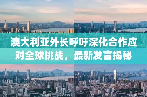 澳大利亚外长呼吁深化合作应对全球挑战，最新发言揭秘