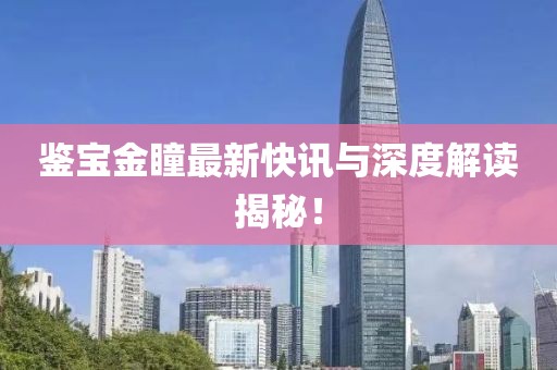 鉴宝金瞳最新快讯与深度解读揭秘！