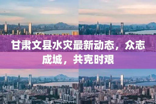 甘肃文县水灾最新动态，众志成城，共克时艰