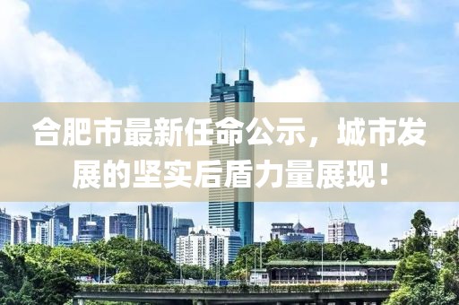 合肥市最新任命公示，城市发展的坚实后盾力量展现！