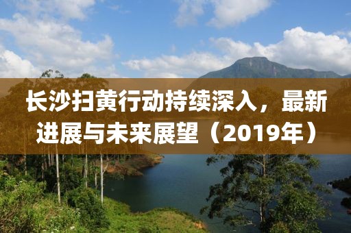 长沙扫黄行动持续深入，最新进展与未来展望（2019年）
