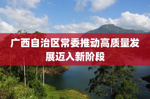 广西自治区常委推动高质量发展迈入新阶段