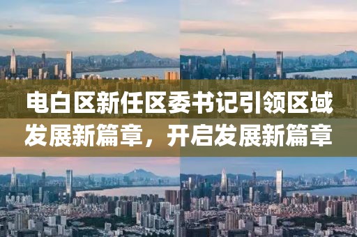 电白区新任区委书记引领区域发展新篇章，开启发展新篇章