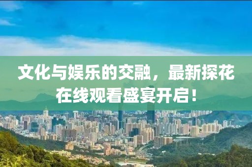 文化与娱乐的交融，最新探花在线观看盛宴开启！