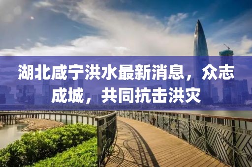 湖北咸宁洪水最新消息，众志成城，共同抗击洪灾