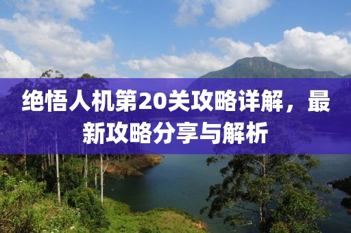 绝悟人机第20关攻略详解，最新攻略分享与解析