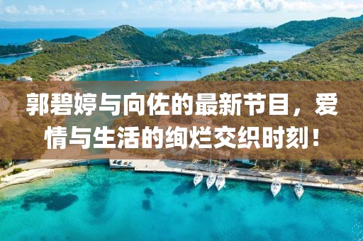 郭碧婷与向佐的最新节目，爱情与生活的绚烂交织时刻！