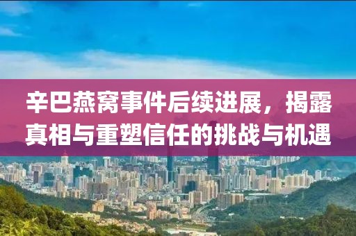 暗中人 第17页