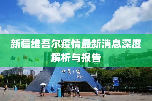 新疆维吾尔疫情最新消息深度解析与报告