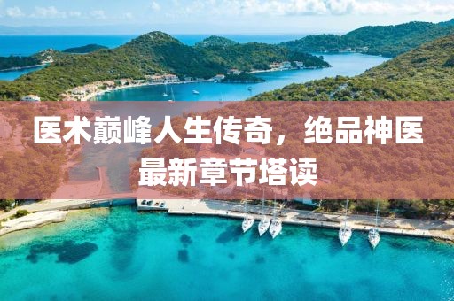 医术巅峰人生传奇，绝品神医最新章节塔读