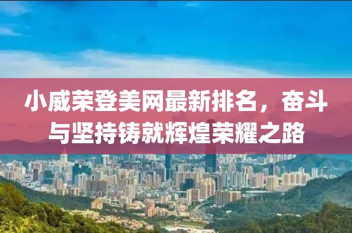 小威荣登美网最新排名，奋斗与坚持铸就辉煌荣耀之路
