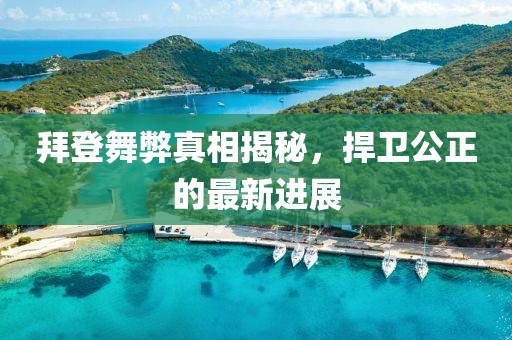 拜登舞弊真相揭秘，捍卫公正的最新进展