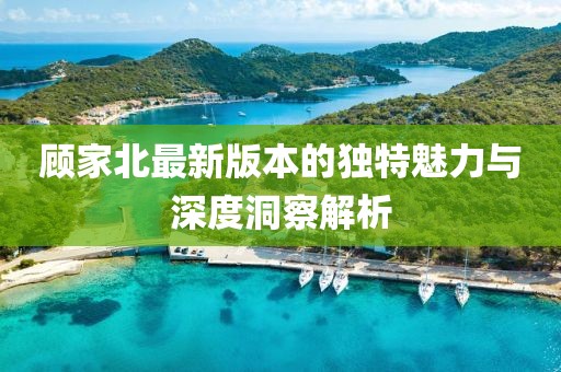 顾家北最新版本的独特魅力与深度洞察解析