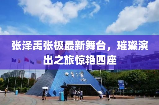 张泽禹张极最新舞台，璀璨演出之旅惊艳四座