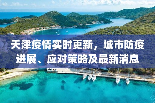 天津疫情实时更新，城市防疫进展、应对策略及最新消息
