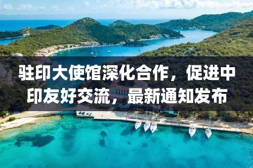 驻印大使馆深化合作，促进中印友好交流，最新通知发布