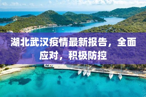 湖北武汉疫情最新报告，全面应对，积极防控