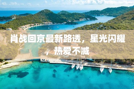肖战回京最新路透，星光闪耀，热爱不减