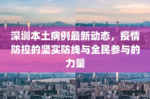深圳本土病例最新动态，疫情防控的坚实防线与全民参与的力量