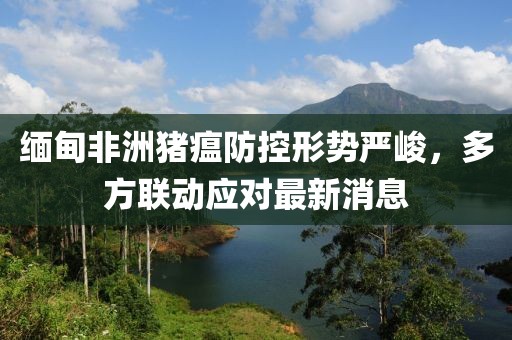 缅甸非洲猪瘟防控形势严峻，多方联动应对最新消息