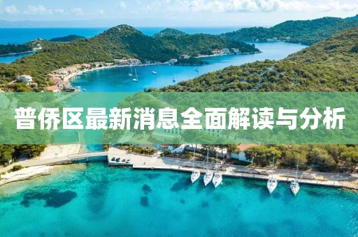 普侨区最新消息全面解读与分析