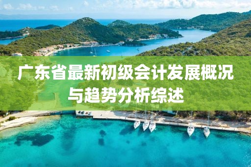 广东省最新初级会计发展概况与趋势分析综述