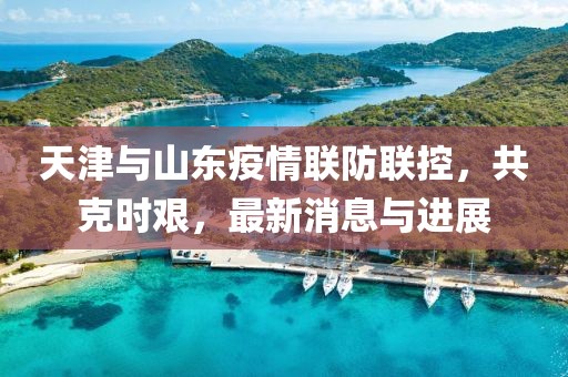天津与山东疫情联防联控，共克时艰，最新消息与进展