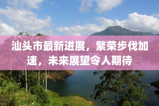 汕头市最新进展，繁荣步伐加速，未来展望令人期待
