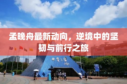 孟晚舟最新动向，逆境中的坚韧与前行之旅