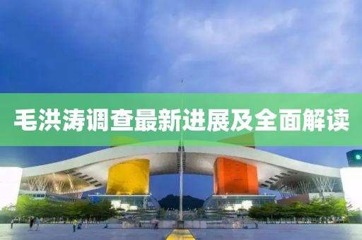 毛洪涛调查最新进展及全面解读