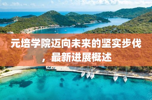 元培学院迈向未来的坚实步伐，最新进展概述